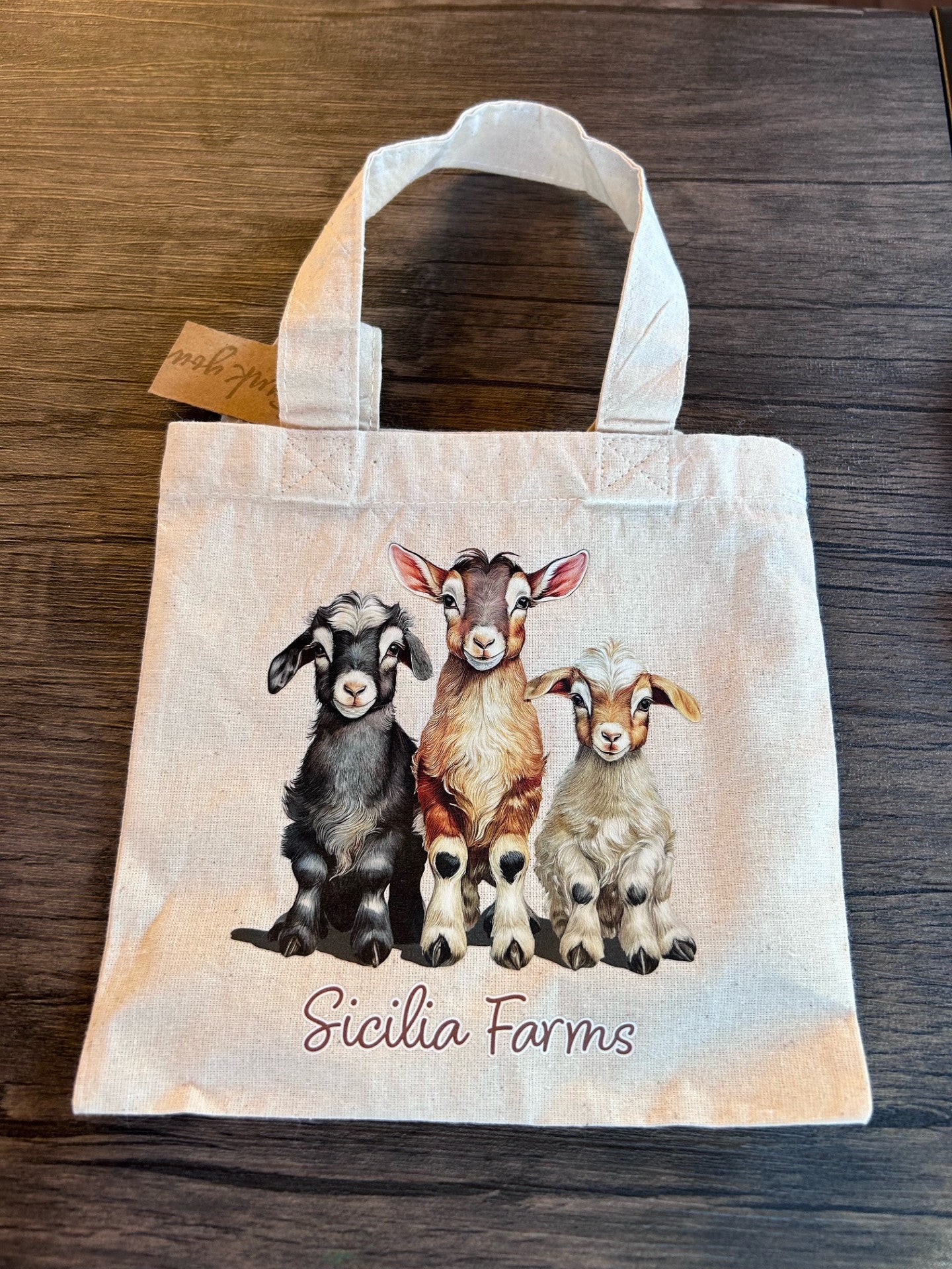 Small Animal Totes